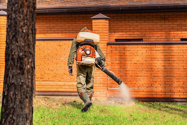 Bed Bug Clearance Verification and Documentation in Newton